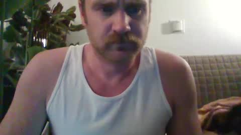 TR88 online show from February 16, 2025, 12:43 pm