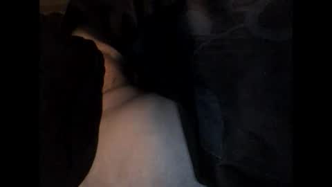 Snapshot of jaap08 chatting on December 3, 2024, 5:31 am speedy online show from December 3, 2024, 5:31 am