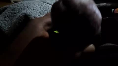 jackwiskyhoney online show from January 19, 2026, 3:21 am