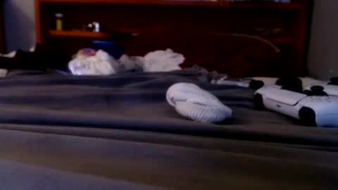 what you in too online show from September 20, 2025, 2:23 am