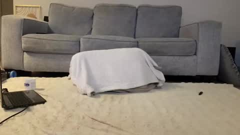 Snapshot of jamesjackin85 chatting on December 16, 2024, 7:00 pm jamesjackin85 online show from December 16, 2024, 7:00 pm