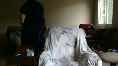 jameswolf777 online show from September 27, 2025, 2:44 pm