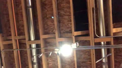 Snapshot of jamie19905 chatting on October 29, 2025, 2:25 am jamie19905 online show from October 29, 2025, 2:25 am