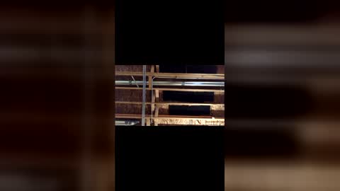 Snapshot of jamie19905 chatting on March 4, 2026, 3:45 am jamie19905 online show from March 4, 2026, 3:45 am