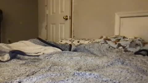 jamiexo420 online show from February 5, 2026, 10:31 am