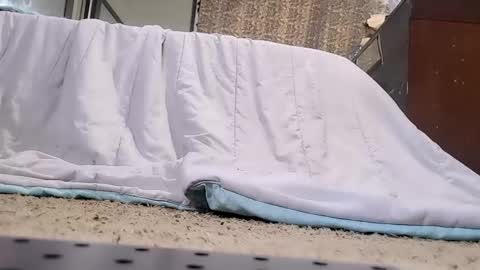 Snapshot of jamwarnerone chatting on February 20, 2026, 3:45 pm Bootyshows online show from February 20, 2026, 3:45 pm