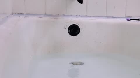 Snapshot of jamwarnerone chatting on March 1, 2026, 9:17 pm Bootyshows online show from March 1, 2026, 9:17 pm