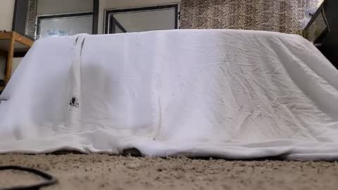 Snapshot of jamwarnerone chatting on March 12, 2026, 11:27 am Bootyshows online show from March 12, 2026, 11:27 am