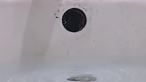 Snapshot of jamwarnerone chatting on March 15, 2026, 1:28 pm Bootyshows online show from March 15, 2026, 1:28 pm