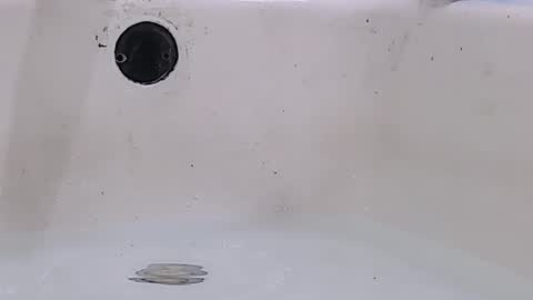 Snapshot of jamwarnerone chatting on March 16, 2026, 11:58 am Bootyshows online show from March 16, 2026, 11:58 am