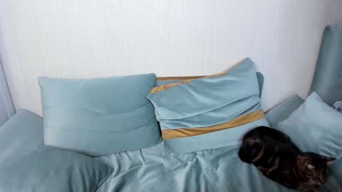 Snapshot of jane_modelxx chatting on January 25, 2025, 9:04 pm Jane online show from January 25, 2025, 9:04 pm