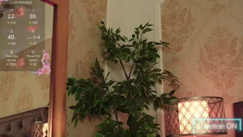 Snapshot of janedevines chatting on December 18, 2024, 10:08 am JaneDevine online show from December 18, 2024, 10:08 am