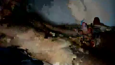 jardinflowers online show from November 28, 2025, 5:21 am