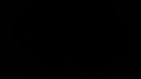 Snapshot of jasmine_star12 chatting on January 12, 2026, 7:30 pm jasmine_star12 online show from January 12, 2026, 7:30 pm