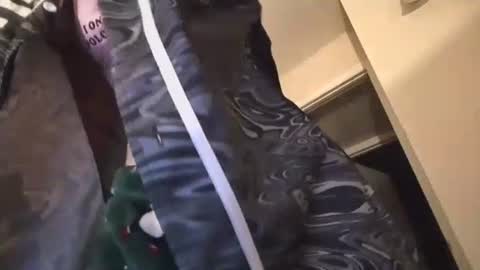 jasper1thewhor3 online show from October 25, 2025, 5:04 am