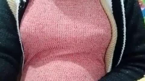 jasspreettt online show from January 4, 2025, 5:48 am