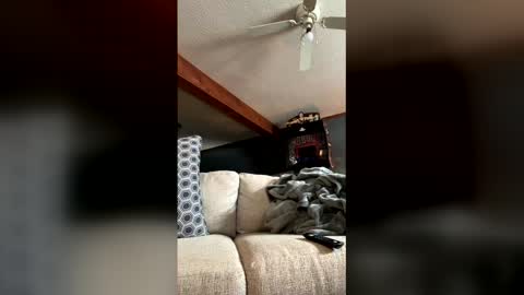 Jaws  online show from January 5, 2026, 7:50 pm