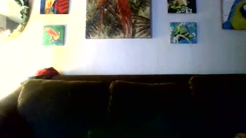 jay-jay1475 online show from February 11, 2026, 9:42 pm