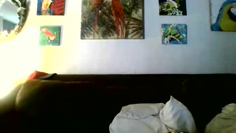 jay-jay1475 online show from May 7, 2026, 5:40 pm