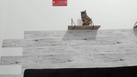 Snapshot of jaycreedd chatting on January 3, 2025, 4:55 am Jaycreedd online show from January 3, 2025, 4:55 am