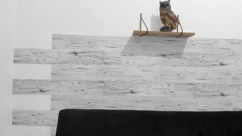 Snapshot of jaycreedd chatting on January 15, 2025, 2:38 am Jaycreedd online show from January 15, 2025, 2:38 am