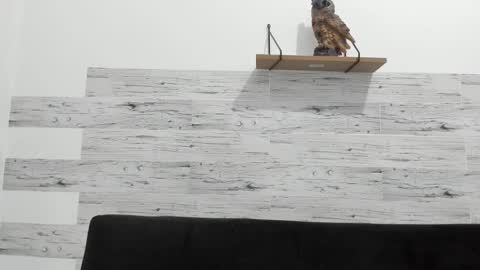 Snapshot of jaycreedd chatting on February 11, 2025, 2:57 am Jaycreedd online show from February 11, 2025, 2:57 am