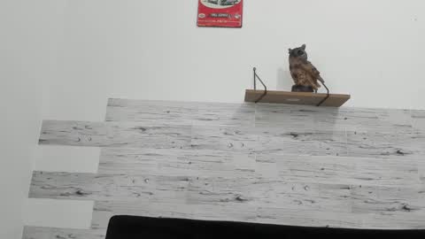 Snapshot of jaycreedd chatting on February 18, 2025, 6:47 pm Jaycreedd online show from February 18, 2025, 6:47 pm