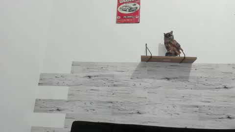 Snapshot of jaycreedd chatting on February 20, 2025, 4:39 am Jaycreedd online show from February 20, 2025, 4:39 am