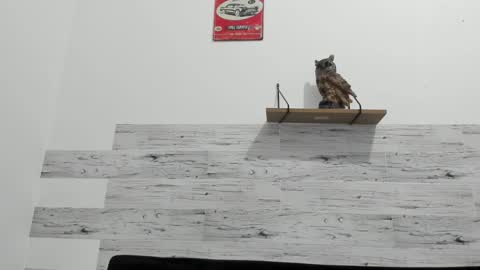 Snapshot of jaycreedd chatting on February 22, 2025, 3:23 am Jaycreedd online show from February 22, 2025, 3:23 am