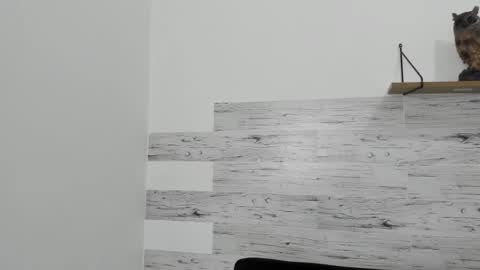 Snapshot of jaycreedd chatting on February 22, 2025, 6:28 am Jaycreedd online show from February 22, 2025, 6:28 am