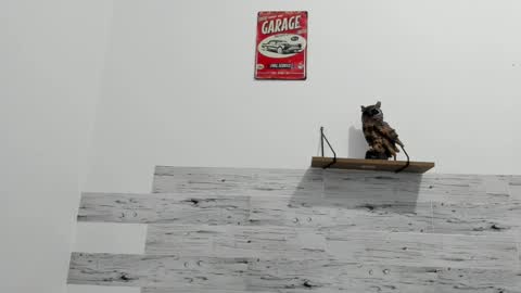 Snapshot of jaycreedd chatting on February 23, 2025, 3:56 am Jaycreedd online show from February 23, 2025, 3:56 am