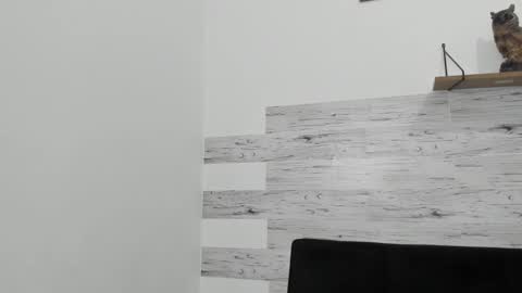 Snapshot of jaycreedd chatting on March 4, 2025, 6:26 am Jaycreedd online show from March 4, 2025, 6:26 am