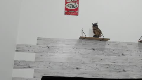 Snapshot of jaycreedd chatting on March 6, 2025, 7:25 am Jaycreedd online show from March 6, 2025, 7:25 am