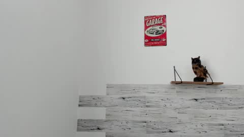 Snapshot of jaycreedd chatting on March 7, 2025, 6:11 pm Jaycreedd online show from March 7, 2025, 6:11 pm