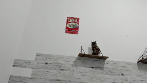 Snapshot of jaycreedd chatting on March 8, 2025, 2:34 am Jaycreedd online show from March 8, 2025, 2:34 am