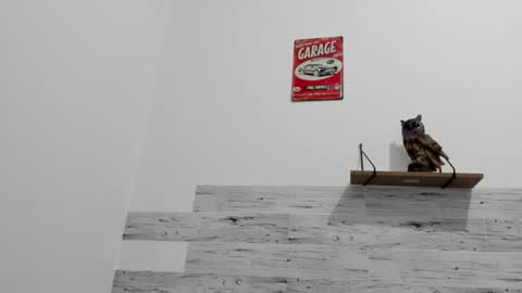 Snapshot of jaycreedd chatting on March 9, 2025, 4:27 am Jaycreedd online show from March 9, 2025, 4:27 am