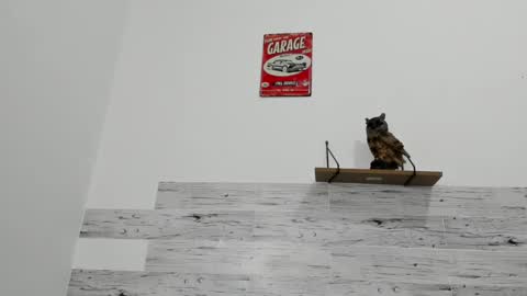 Snapshot of jaycreedd chatting on March 12, 2025, 6:18 am Jaycreedd online show from March 12, 2025, 6:18 am