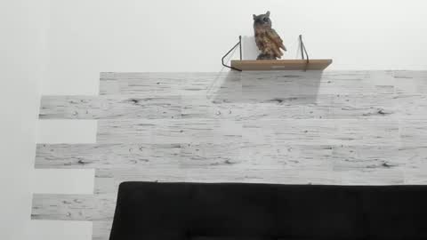 Snapshot of jaycreedd chatting on September 10, 2025, 3:39 am Jaycreedd online show from September 10, 2025, 3:39 am