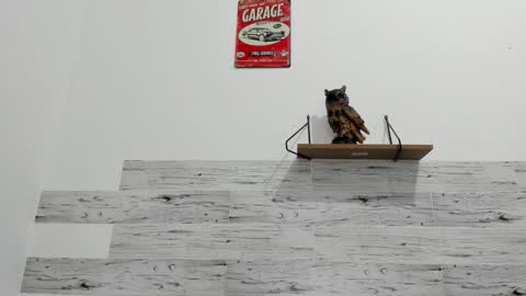 Snapshot of jaycreedd chatting on September 11, 2025, 12:33 am Jaycreedd online show from September 11, 2025, 12:33 am