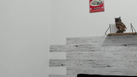 Snapshot of jaycreedd chatting on September 16, 2025, 11:50 pm Jaycreedd online show from September 16, 2025, 11:50 pm