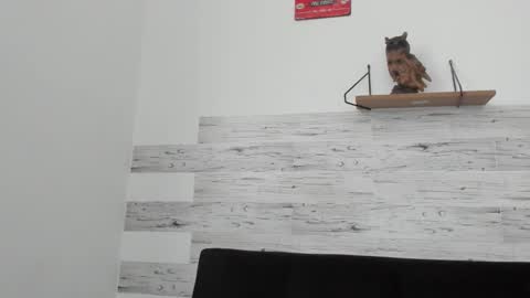 Snapshot of jaycreedd chatting on September 22, 2025, 1:46 pm Jaycreedd online show from September 22, 2025, 1:46 pm