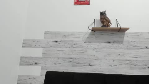 Snapshot of jaycreedd chatting on September 26, 2025, 2:37 am Jaycreedd online show from September 26, 2025, 2:37 am