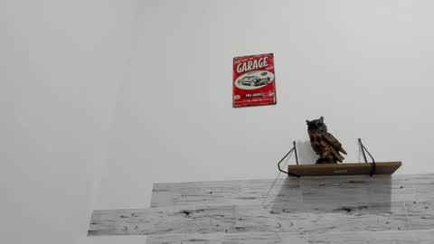 Snapshot of jaycreedd chatting on September 29, 2025, 12:38 am Jaycreedd online show from September 29, 2025, 12:38 am