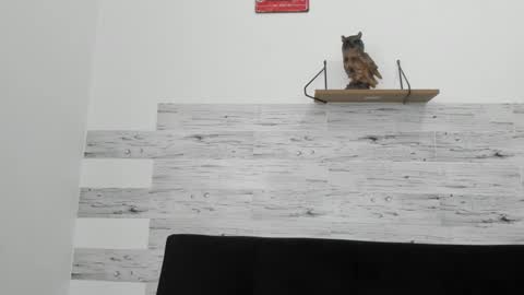 Snapshot of jaycreedd chatting on September 30, 2025, 4:56 pm Jaycreedd online show from September 30, 2025, 4:56 pm