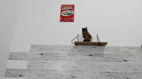 Snapshot of jaycreedd chatting on October 1, 2025, 5:02 am Jaycreedd online show from October 1, 2025, 5:02 am