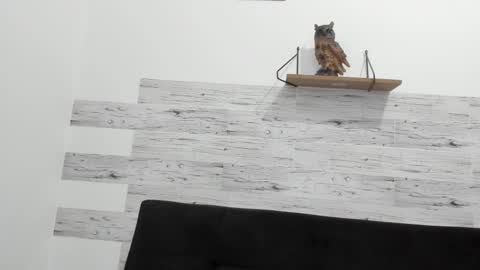 Snapshot of jaycreedd chatting on October 2, 2025, 9:55 pm Jaycreedd online show from October 2, 2025, 9:55 pm