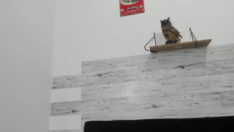 Snapshot of jaycreedd chatting on October 5, 2025, 1:26 am Jaycreedd online show from October 5, 2025, 1:26 am