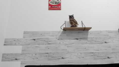 Snapshot of jaycreedd chatting on October 10, 2025, 1:48 am Jaycreedd online show from October 10, 2025, 1:48 am