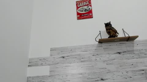 Snapshot of jaycreedd chatting on October 12, 2025, 10:09 pm Jaycreedd online show from October 12, 2025, 10:09 pm