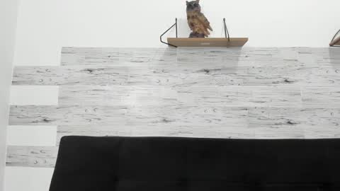 Snapshot of jaycreedd chatting on October 29, 2025, 4:15 am Jaycreedd online show from October 29, 2025, 4:15 am